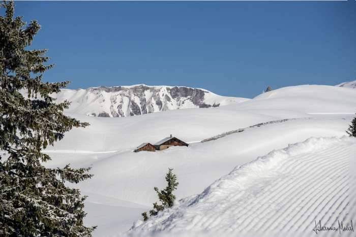 Die Gaisbühelalpe @Johannes Muxel