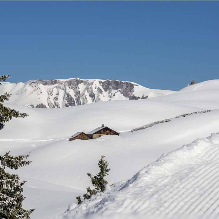 Die Gaisbühelalpe @Johannes Muxel