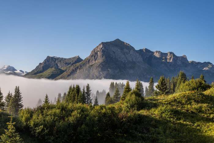 Hochnebel @ Johannes Muxel