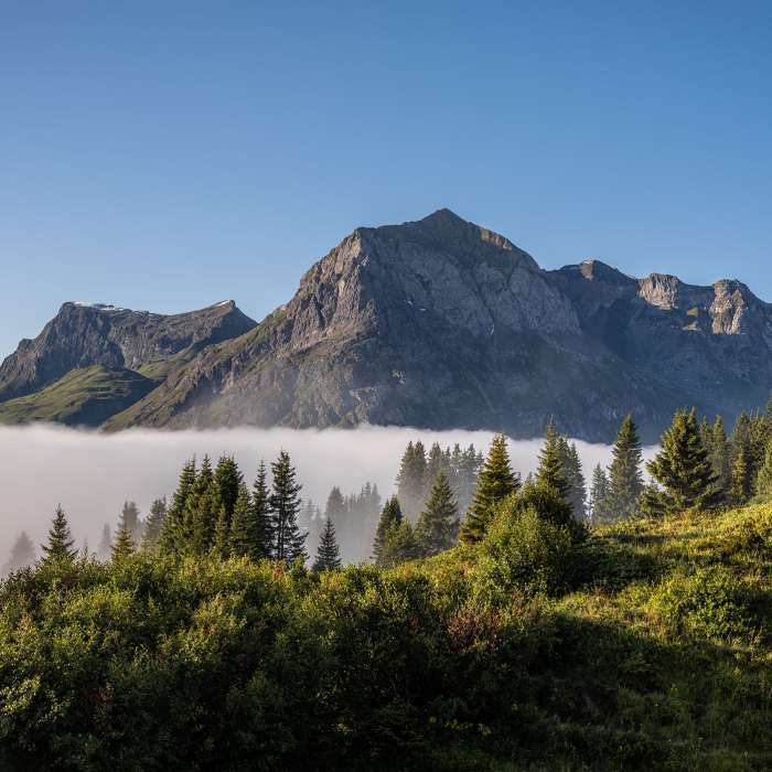 Hochnebel @ Johannes Muxel