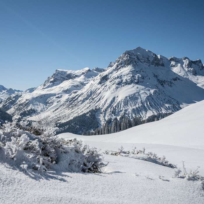Omeshorn im Schnee @ Johannes Muxel